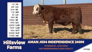 Lot #240M - AMAN J034 INDEPENDENCE 240M