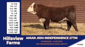 Lot #277M - AMAN J034 INDEPENDENCE 277M