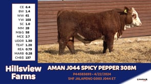 Lot #308M - AMAN J044 SPICY PEPPER 308M