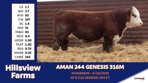Lot #316M - AMAN 244 GENESIS 316M