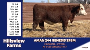 Lot #398M - AMAN 244 GENESIS 398M