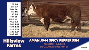 Lot #95M - AMAN J044 SPICY PEPPER 95M