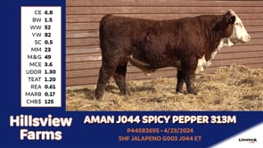 Lot #313M - AMAN J044 SPICY PEPPER 313M