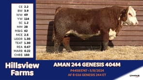 Lot #404M - AMAN 244 GENESIS 404M