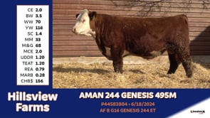 Lot #495M - AMAN 244 GENESIS 495M