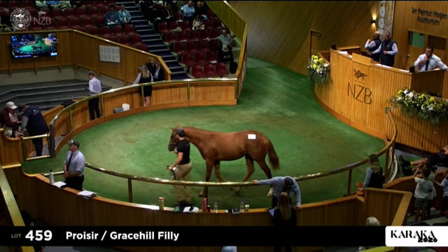 Karaka 2026: Book 1, Lots 459 - 468