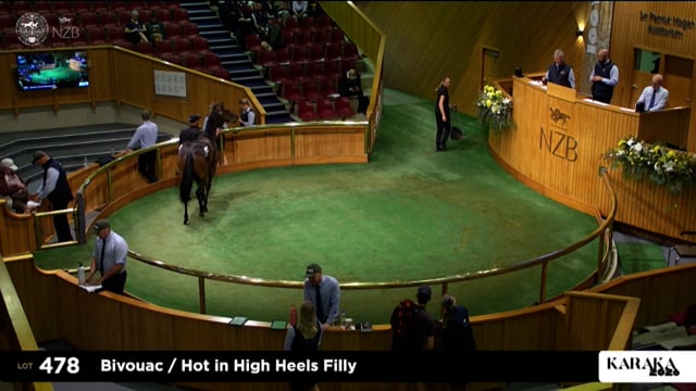 Karaka 2026: Book 1, Lots 478 - 486