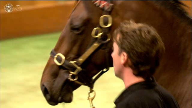 Karaka 2026: Book 1, Lots 487 - 496