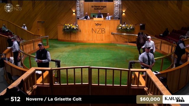 Karaka 2026: Book 1, Lots 512 - 520