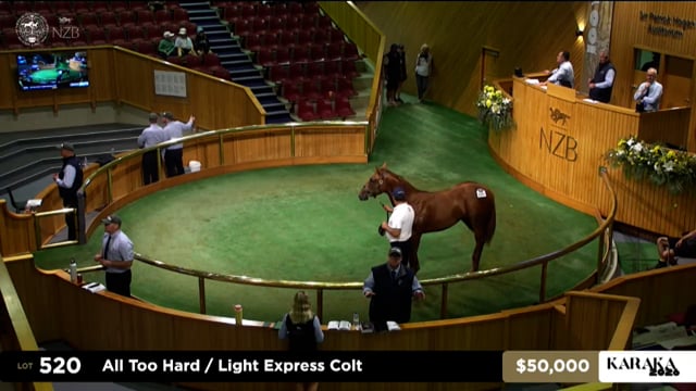 Karaka 2026: Book 1, Lots 520 - 528