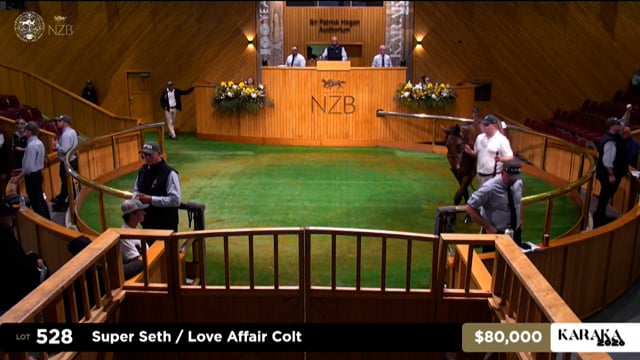 Karaka 2026: Book 1, Lots 528 - 536