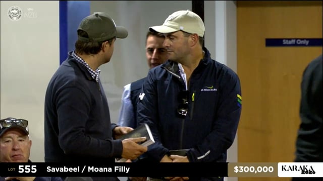 Karaka 2026: Book 1, Lots 555 - 565