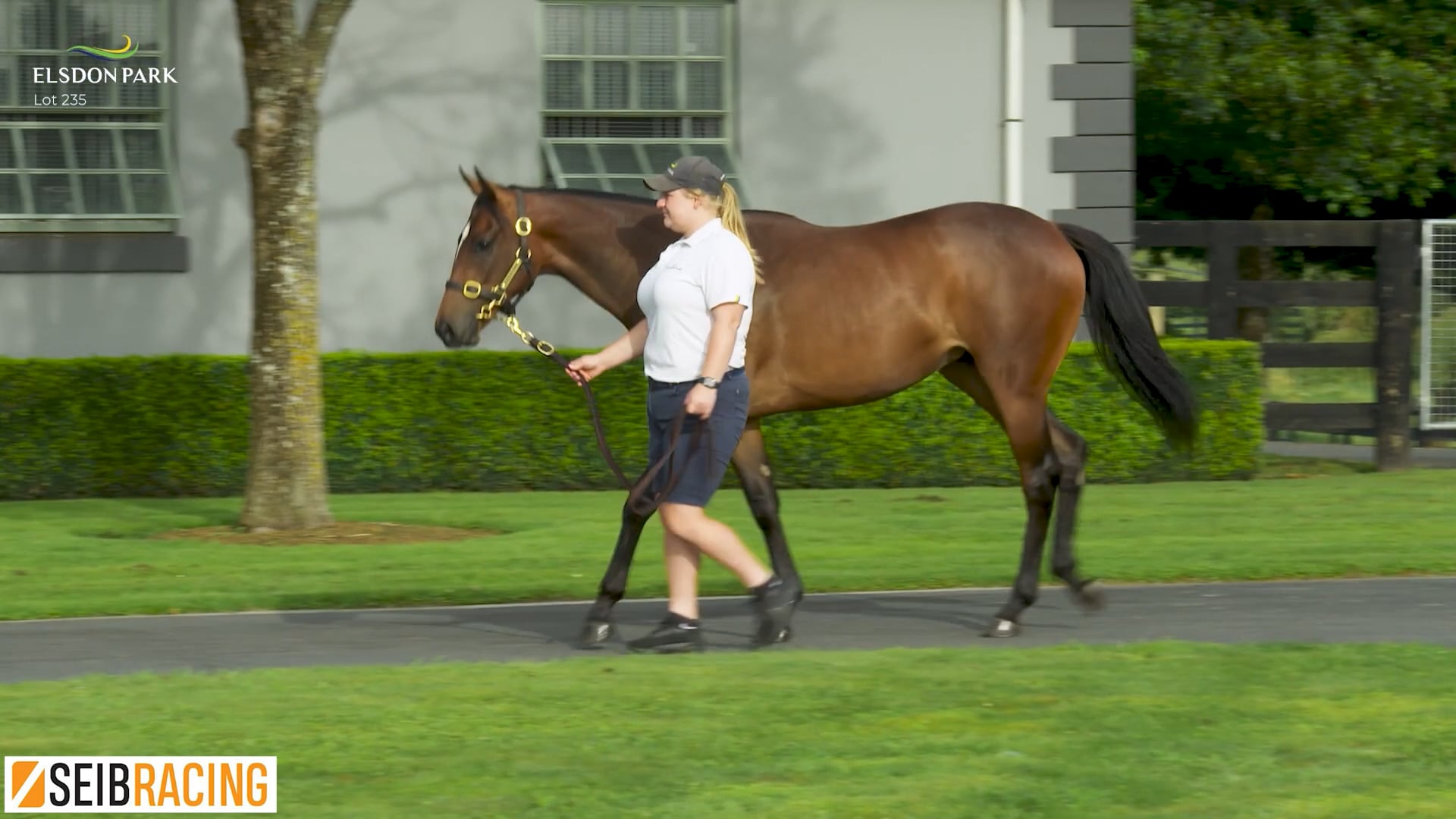 Seib Racing Exceedance | Videos & Movies on Vimeo