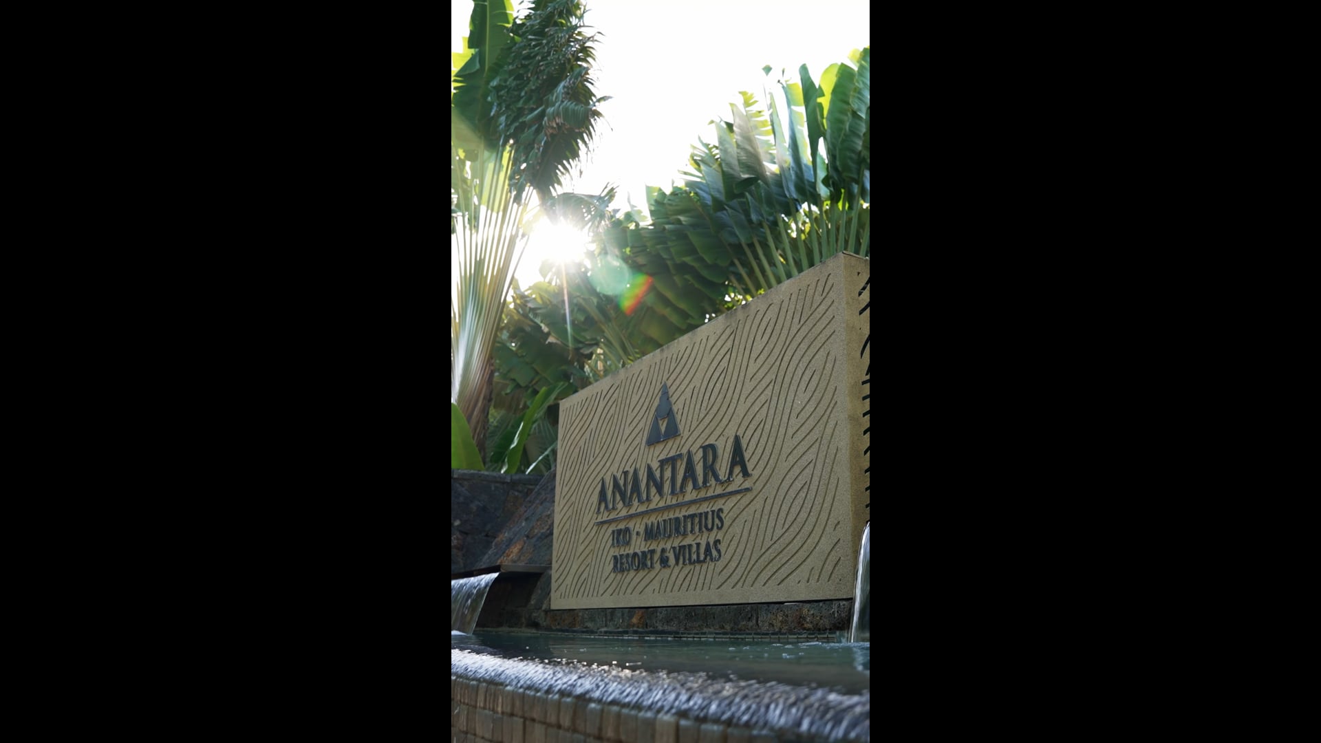 Social Media - Content