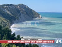 Ancona - Un protocollo per difendere il mare: tavolo sull’alga ostreopsis