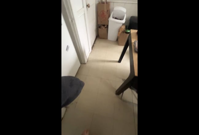 Gorgeous private room in Brookline  Main Photo