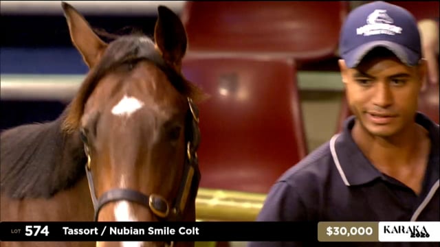 Karaka 2026: Book 2, Lots 574 - 583