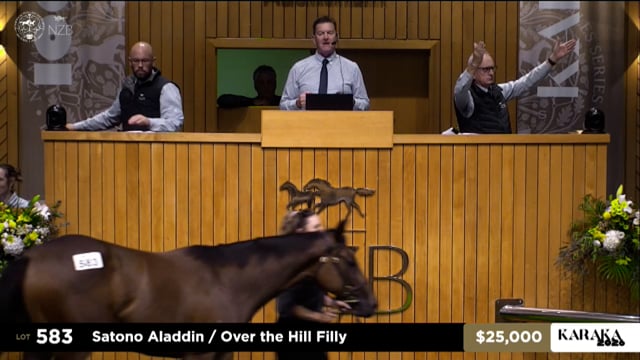 Karaka 2026: Book 2, Lots 583 - 590