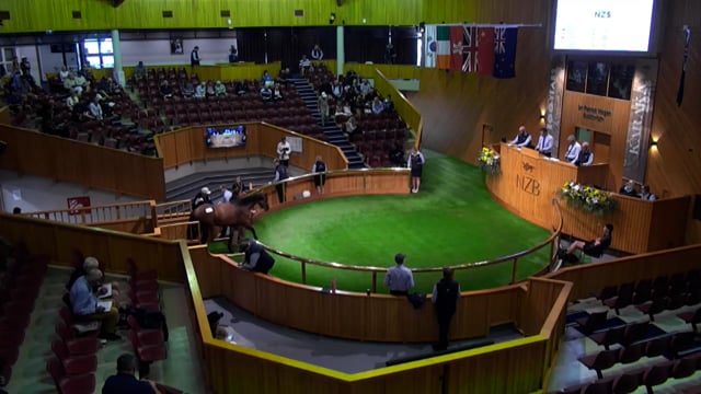 Karaka 2026: Book 2, Lots 591 - 598