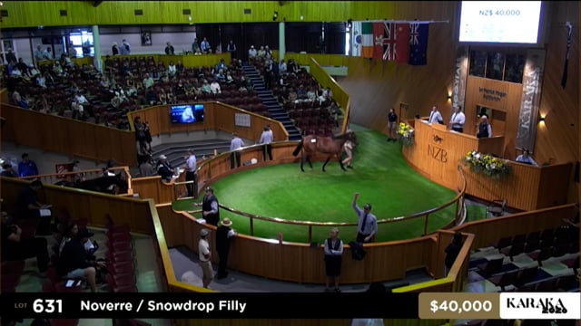 Karaka 2026: Book 2, Lots 631 - 639