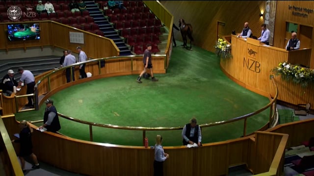 Karaka 2026: Book 2, Lots 658 - 668