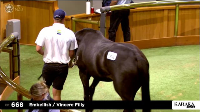 Karaka 2026: Book 2, Lots 668 - 677