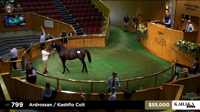 Karaka 2026: Book 2, Lots 799 - 808