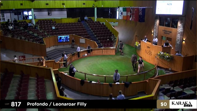 Karaka 2026: Book 2, Lots 817 - 826