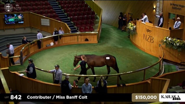 Karaka 2026: Book 2, Lot 842 - End of Day