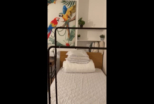 Beautiful & spacious ensuite in city center!  Main Photo