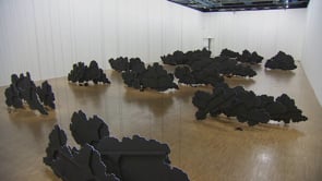 Vignette de la vidéo