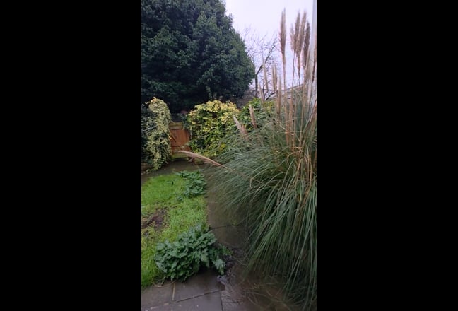 Newly decorated one bedroom garden flat  Main Photo