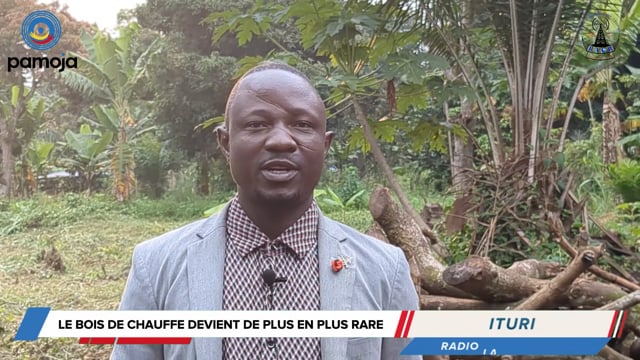 La déforestation menace la communauté de Nyakure en RDC