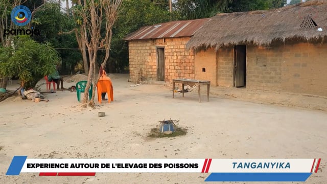 Des poissons pour des étangs