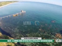 Vasto - Il comune firma un’intesa per la tutela delle tartarughe marine