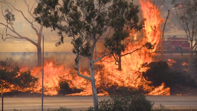Advancements (Bloomberg TV)