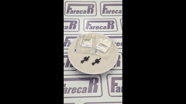 Par Brucutu Esguicho Ejetor Agua Parabrisa Original Meriva