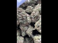 Black cherry gelato