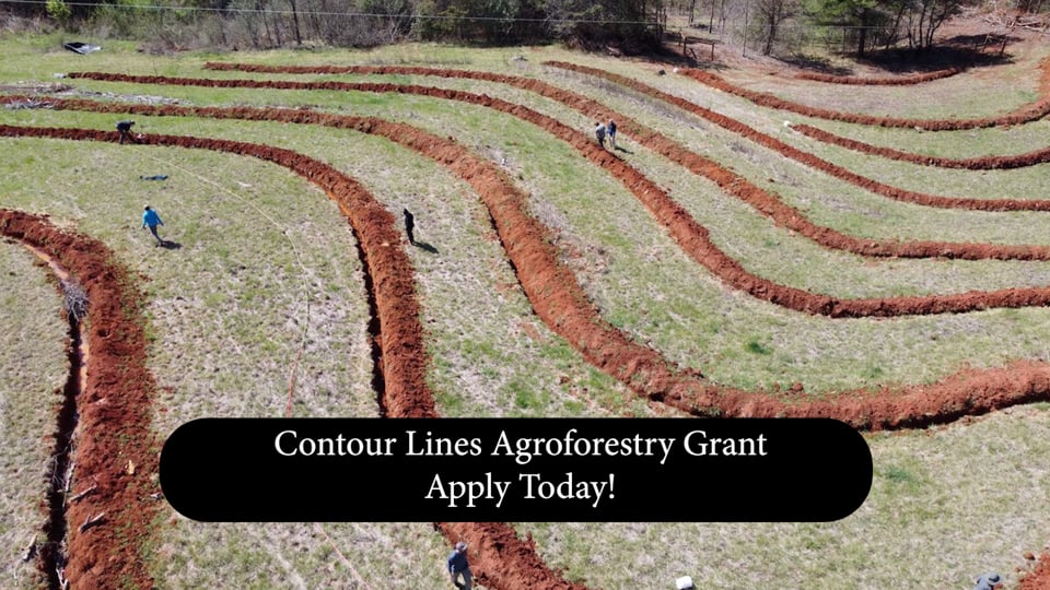 Funding Opportunity: Contour Lines USA Agroforestry Grants