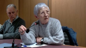 La llevantada i els seus efectes a debat al Ple Municipal de gener