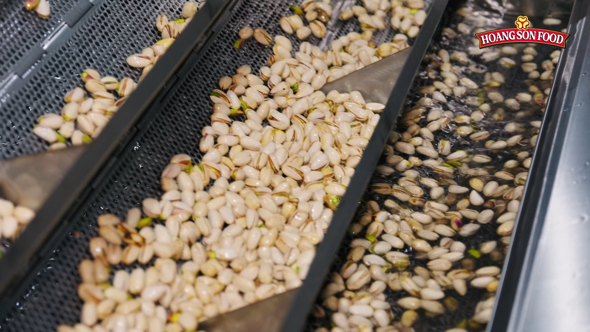 HOANG SON FOOD | PISTACHIOS & ALMOND PROCCESSING LINE COMMERCIAL VIDEO