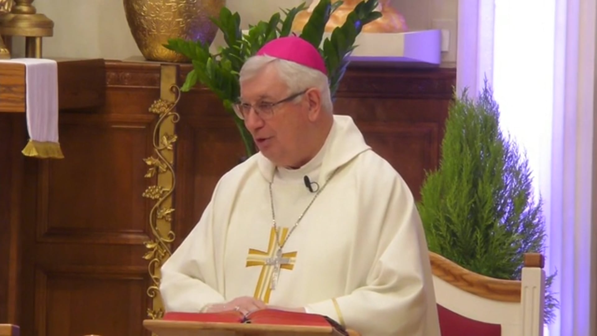 Misa de Nuestra Senora de Loretto - 28 de Enero de 2026