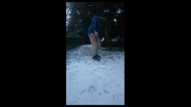 Play swing video