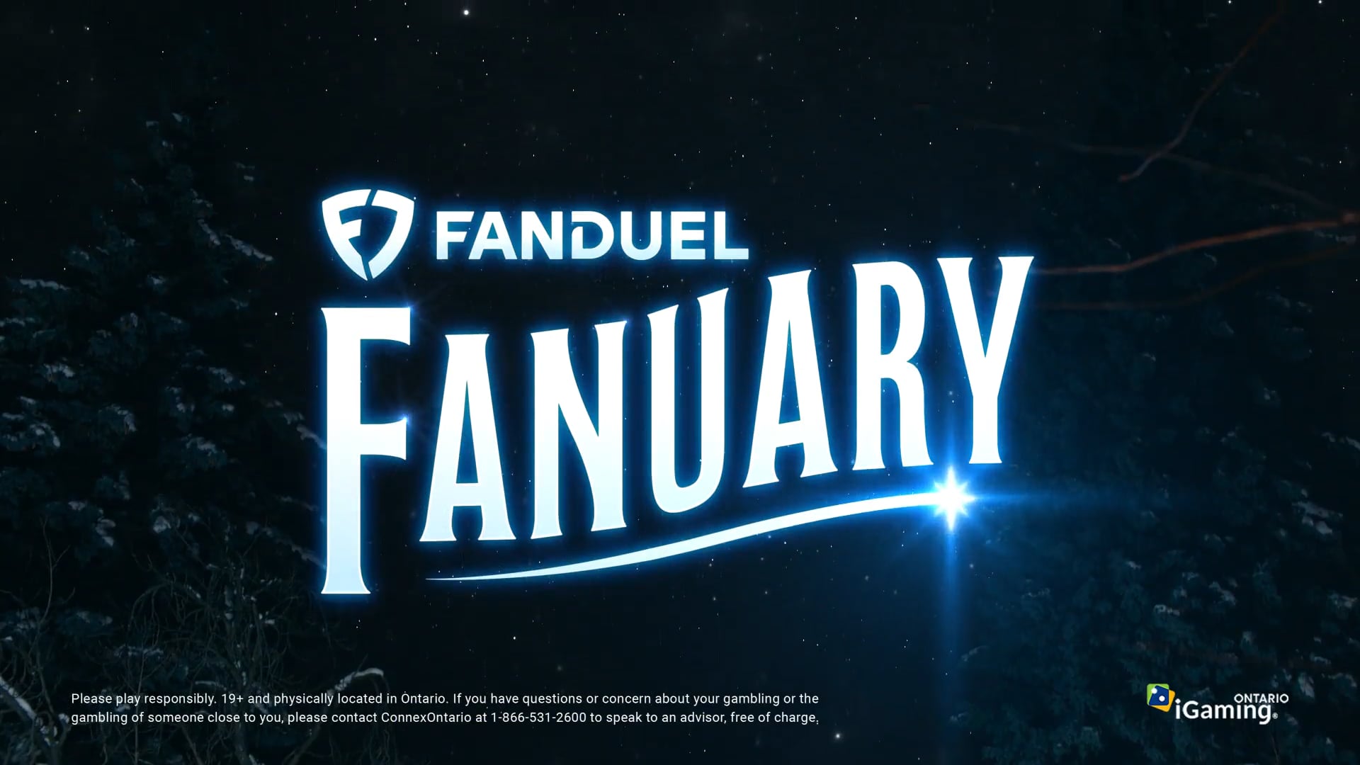 Wake Up to Fanuary - Superbowl