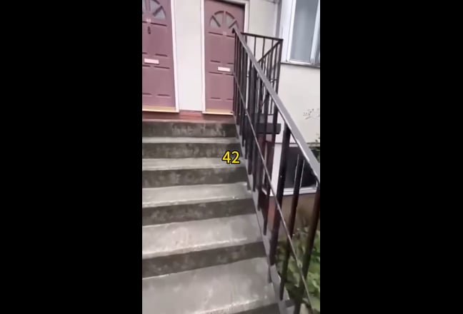 Single Room available near Oval Station Main Photo