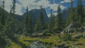 Related Embedded Video Item Thumbnail