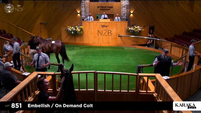 Karaka 2026: Summer Sale, Lots 851 - 858