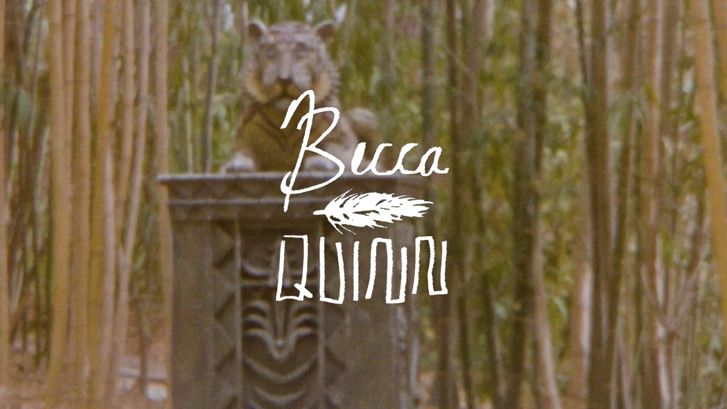 Becca + Quinn / Wild Animal Safari Park / San Diego, CA | Videos ...