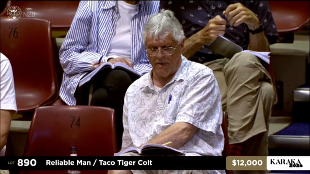 Karaka 2026: Summer Sale, Lots 890 - 899