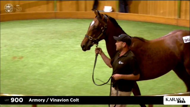 Karaka 2026: Summer Sale, Lots 900 - 912